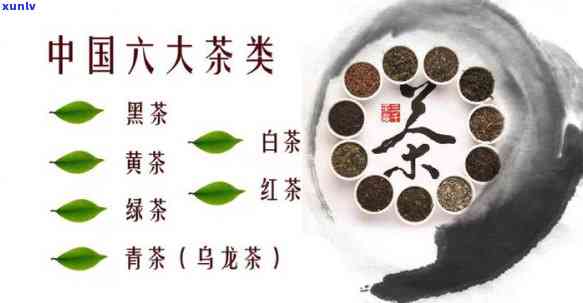 中国六大茶类的特点-中国六大茶类的特点以及 *** 工艺