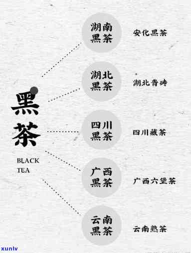 为什么要分六大茶类产品？了解其重要性和影响