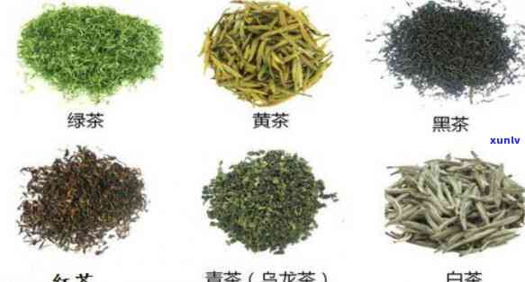 茶为什么分为六大类，探秘茶叶世界：六大类茶的分类及其特点