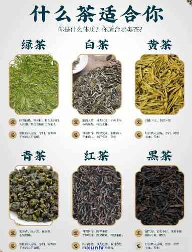 茶为什么分为六大类，探秘茶叶世界：六大类茶的分类及其特点