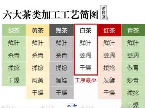 探究六大茶类的关键工序：从 *** 到品鉴