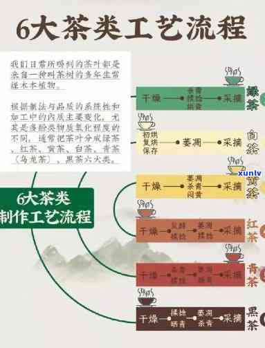 六大茶类的关键工序解析：从 *** 到品饮的全过程