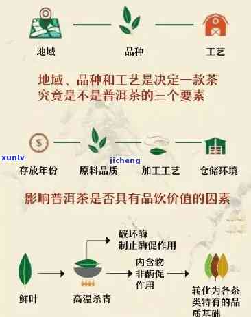 六大茶类的关键工序解析：从 *** 到品饮的全过程