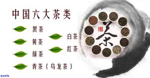 六大茶类都包括哪些茶，全面解析：中国六大茶类分别是什么？