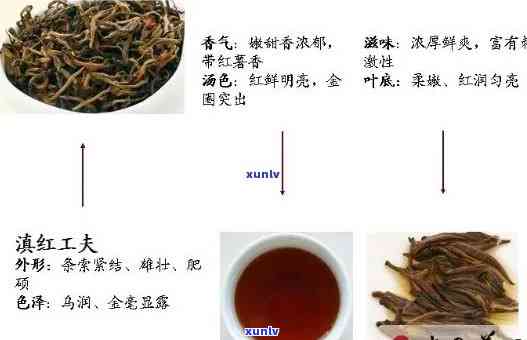 红茶类包括哪些品种是，探究红茶的多样性：红茶类包括哪些品种？