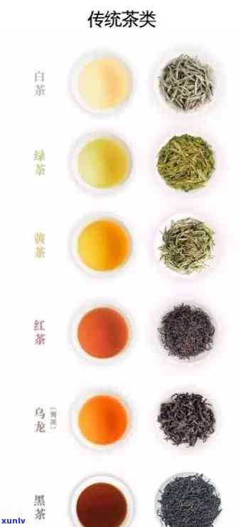 详细解析：六大茶类的茶水比例及克数