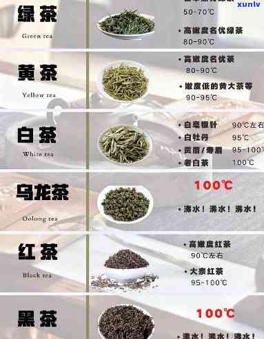 详细解析：六大茶类的茶水比例及克数