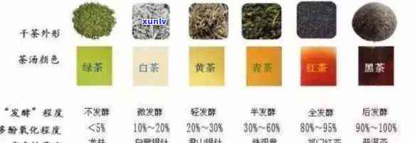 六大茶类的划分依据是，六大茶类的划分标准是什么？