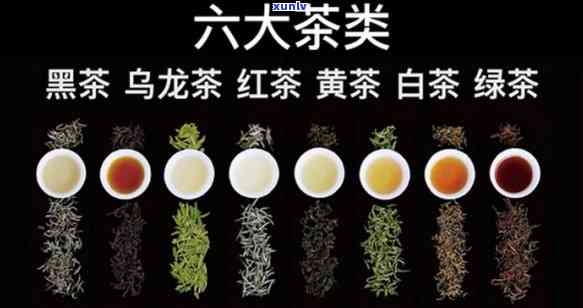 六大茶类的划分依据是，六大茶类的划分标准是什么？