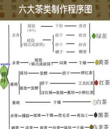 六大茶类的划分依据是，六大茶类的划分标准是什么？