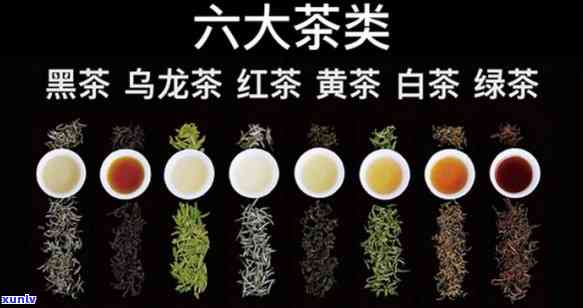 六大茶类是谁划分的-六大茶类是谁划分的呢