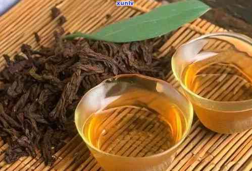 大叶茶属于什么茶类-大叶茶属于什么茶类