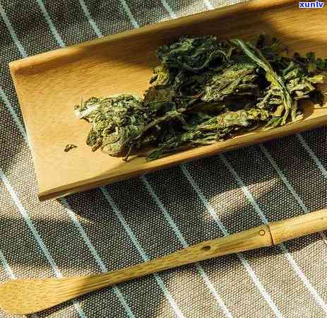 各种茶类的冲泡度-各种茶类的冲泡度是多少