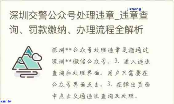 深圳交通罚单逾期解决指南：步骤、手续全解析