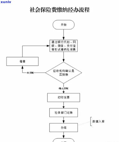 济南缴费，怎样轻松解决济南罚款？详解缴费流程与留意事