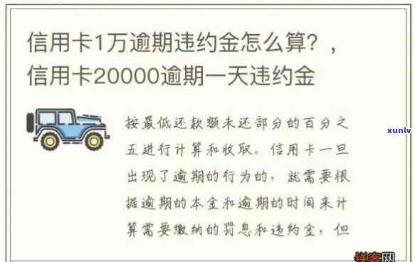 逾期：未解决的结果及滞纳金计算  