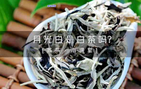 月光白属于什么茶类 *** 工艺，探秘茶叶世界：了解月光白的 *** 工艺所属茶类