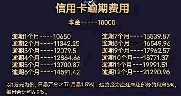 中国逾期金额，揭示中国逾期金额：深度分析与解决方案