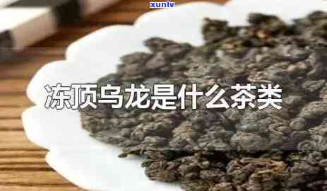 冻顶乌龙属于乌龙茶吗？详解其与普通乌龙茶的区别