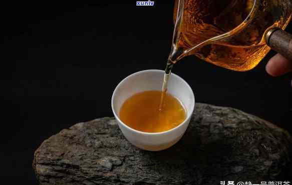 代斗茶决定胜负的因素有哪些，揭秘代斗茶：决胜关键因素解析