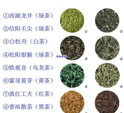 青茶的分类按照形状分为，按形状分类：探索青茶的多样性