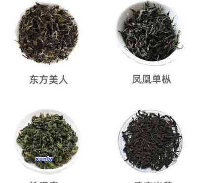 青茶的分类按照形状可分为，按形状划分：探索青茶的不同分类