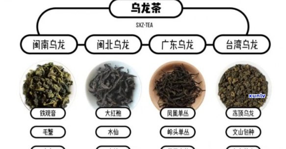 青茶的分类按照形状分为几类，按形状分类：探析青茶的种类