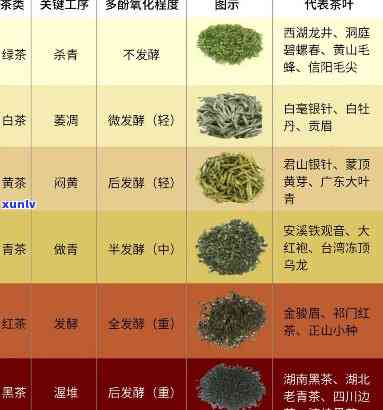 青茶茶叶分类标准及种类全解析