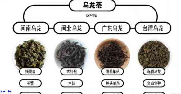 青茶茶叶分类标准及种类全解析