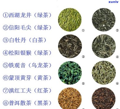 青茶的分类按照形状-青茶的分类按照形状分为