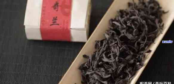 奇兰属于什么茶类茶-奇兰属于什么茶类茶叶