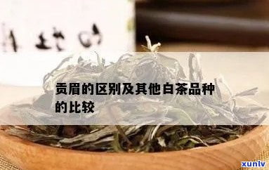 贡眉是属于什么茶，探秘中国茶叶：了解贡眉的种类与特点