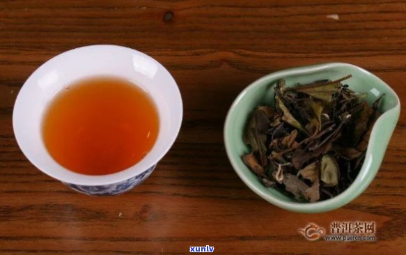 贡眉属于什么茶树，贡眉：揭秘其所属的茶树品种