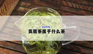 贡眉茶属于什么茶类-贡眉茶属于什么茶类型