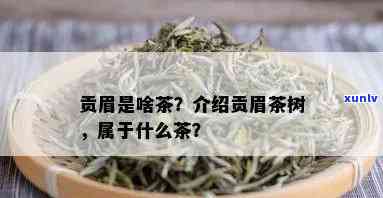 贡眉茶属于什么茶类-贡眉茶属于什么茶类型