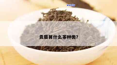 贡眉茶属于什么茶类-贡眉茶属于什么茶类型