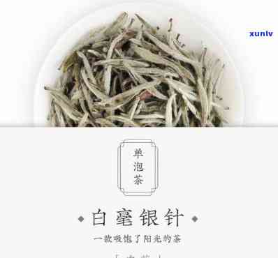 白毫银针：是名茶还是茶叶？