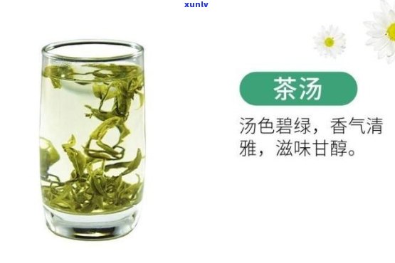 绿妍茶属于什么茶类-绿妍茶属于什么茶类型