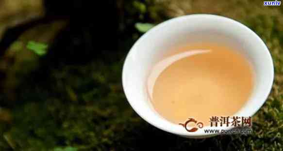 白玉仙茶：揭示其茶类身份