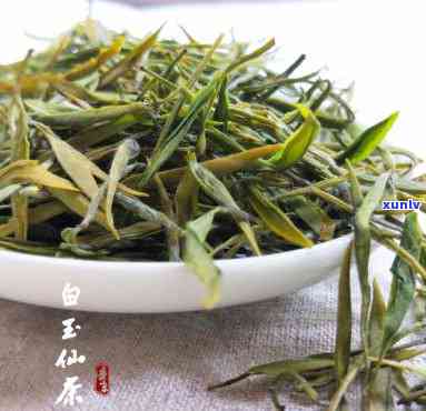 白玉仙茶图片，欣精美白玉仙茶图片，品味优雅清新的茶香世界