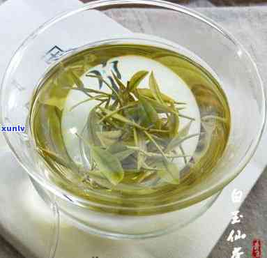 白玉仙茶图片，欣精美白玉仙茶图片，品味优雅清新的茶香世界