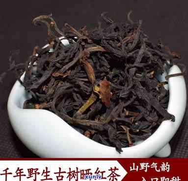 千年古树红茶多少钱一斤，千年古树红茶价格：每斤多少元？