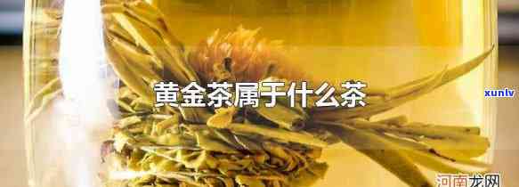 黄金属于绿茶还是红茶，黄金：是绿茶还是红茶？探讨其分类归属