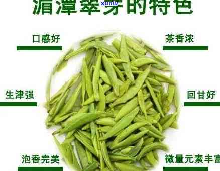 湄潭翠芽是什么茶类-湄潭翠芽是什么茶?