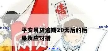 中国平安网贷逾期-中国平安网贷逾期会怎么样