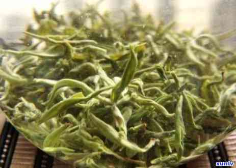 干黄芽是绿茶吗，揭秘干黄芽：它是否属于绿茶类？