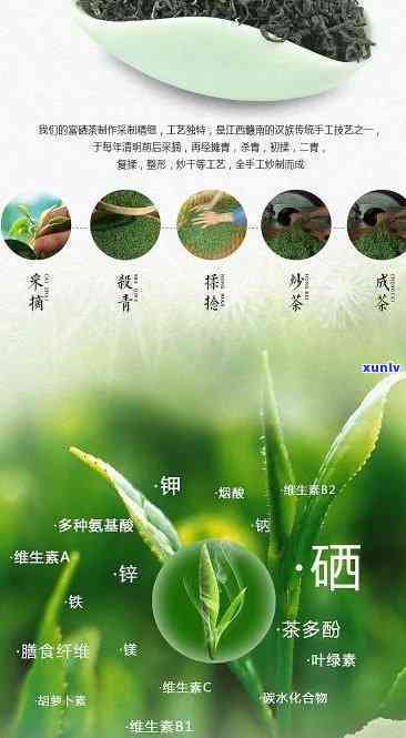 富硒茶是什么茶，解密富硒茶：它到底是一种什么茶？