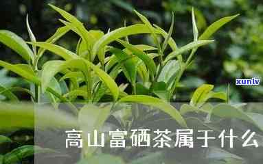 富硒茶属于什么茶类-富硒茶属于什么茶类