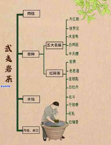 茶的 *** 可分为三种-各个茶类的 *** 工艺主要有哪些