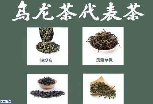 中国有多少茶的品种名字，探寻中国丰富多彩的茶品种：种类繁多，各具特色！